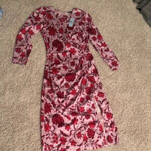 Ann Taylor Red and Pink Floral Long Sleeve Dress
